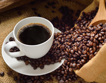 TOP 5 GIỐNG CÀ PHÊ ĐƯỢC TRỒNG NHIỀU NHẤT TẠI VIỆT NAM 2025 