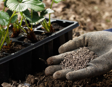 ACID HUMIC LÀ GÌ? TẦM QUAN TRỌNG CỦA ACID HUMIC TRONG NÔNG NGHIỆP 
