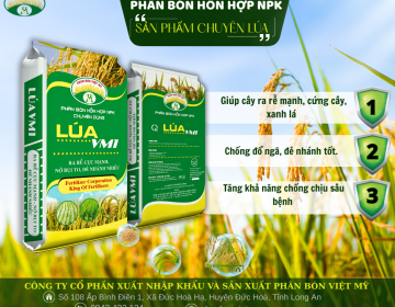 Phân bón NPK chuyên lúa VM1 - Giải pháp cho cây lúa khỏe mạnh cho năng suất cao 